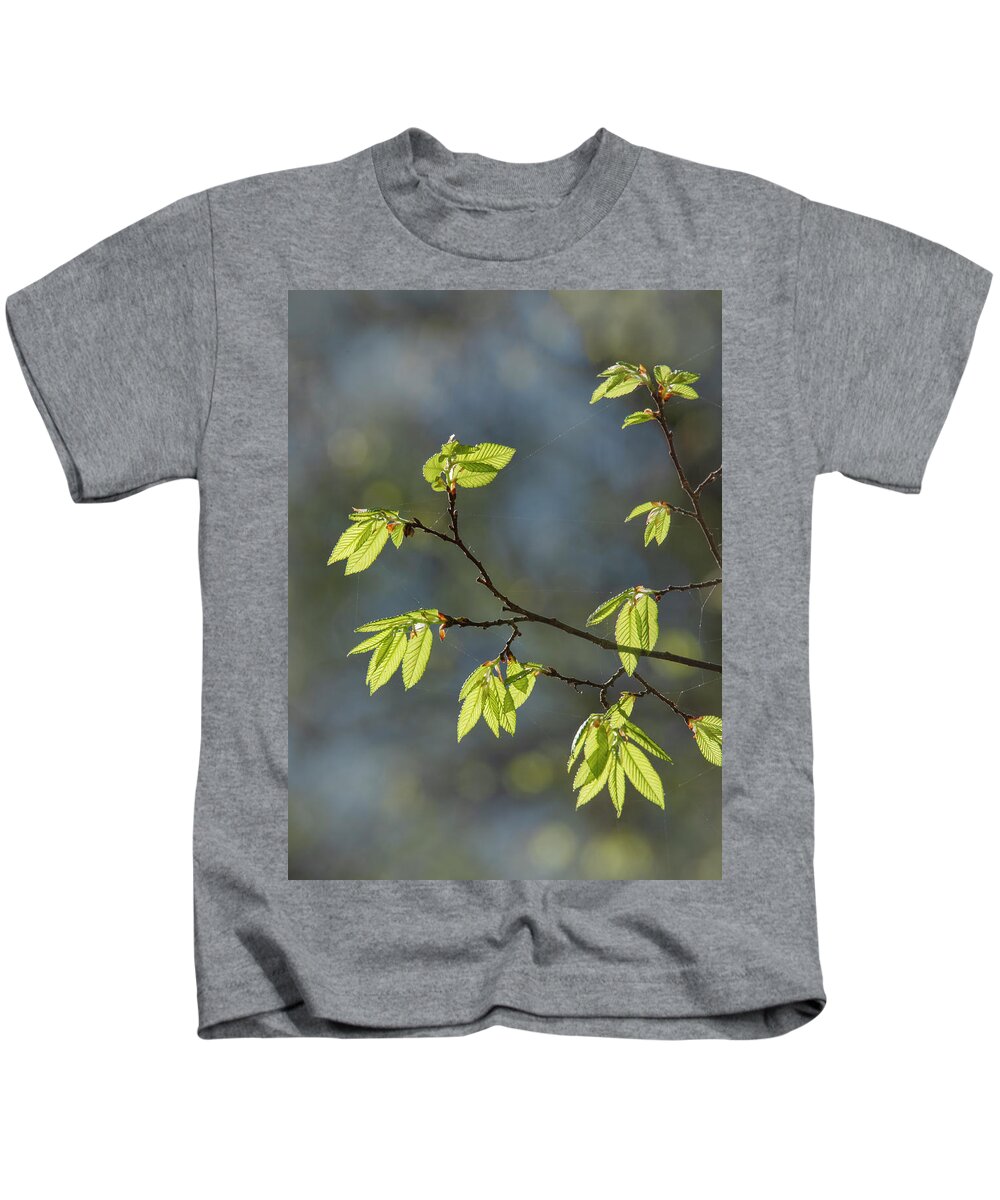 Spring Kids T-Shirt featuring the photograph Spring Elm Leaves by Karen Rispin