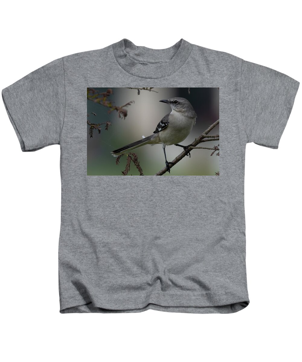 Northern Mockingbird Kids T-Shirt featuring the photograph Strike a Pose by RD Allen
