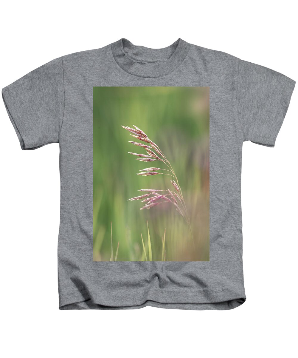 Agriculture Kids T-Shirt featuring the photograph Summer hay seeds by Karen Rispin