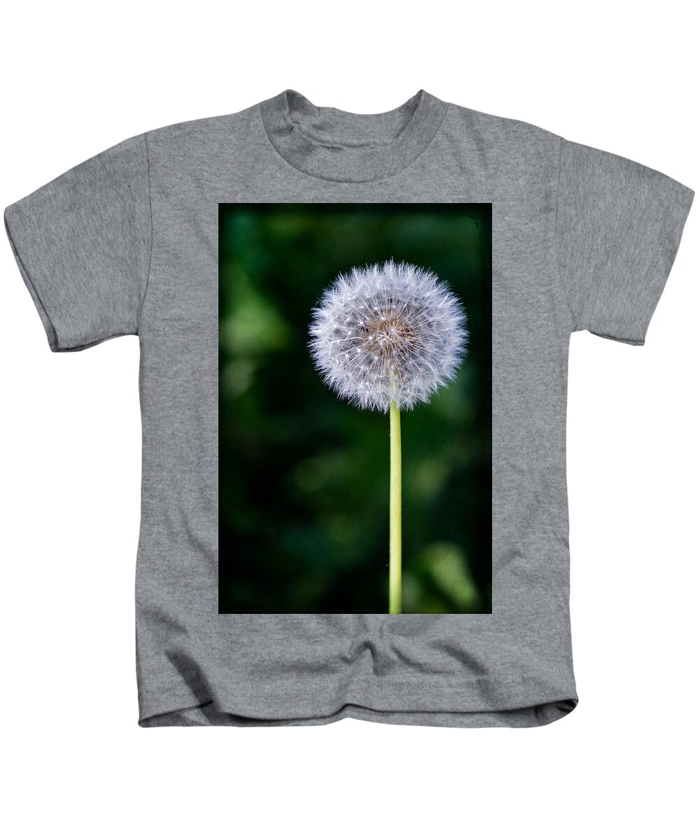 Dandelion Kids T-Shirt featuring the photograph Summer Wishes by Carrie Hannigan