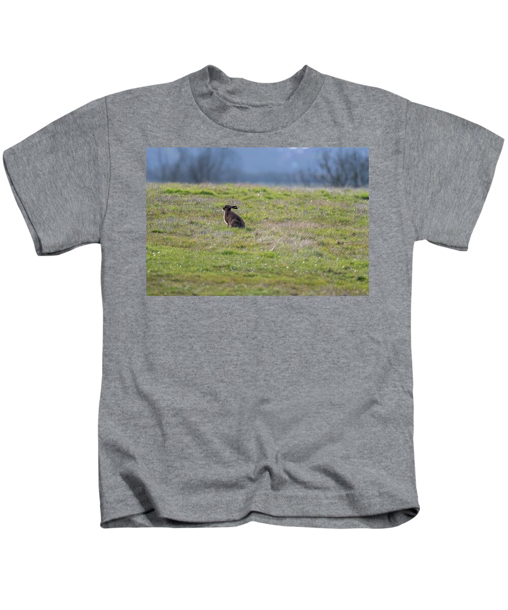 Brown Hare Kids T-Shirt featuring the photograph Sun Salutation by Mark Hunter