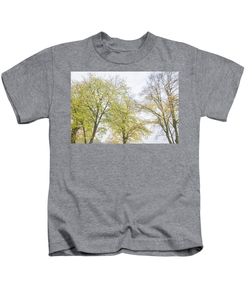 Trent Park Kids T-Shirt featuring the photograph Trent Park Trees Fall 16 by Edmund Peston