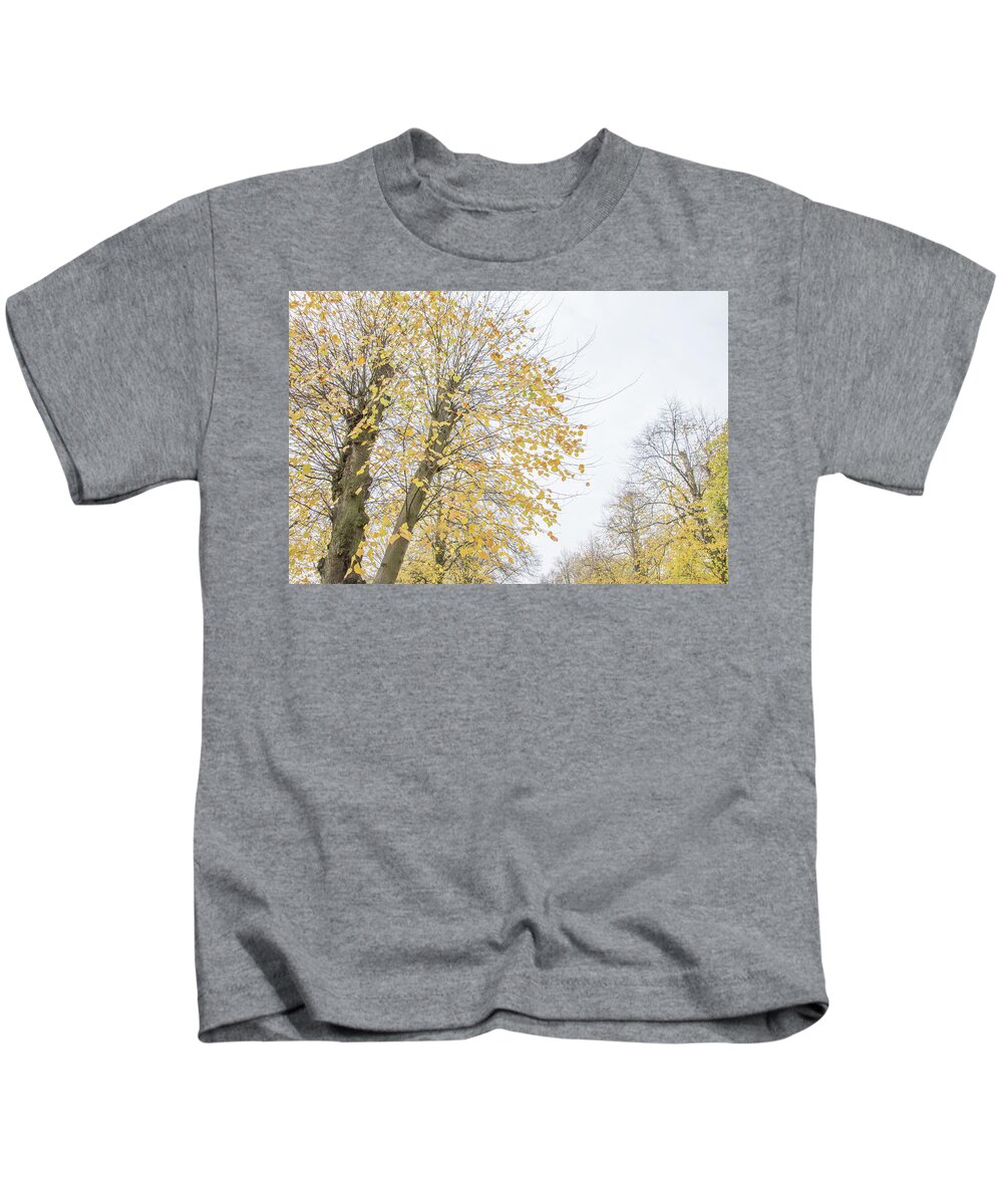 Trent Park Kids T-Shirt featuring the photograph Trent Park Trees Fall 17 by Edmund Peston
