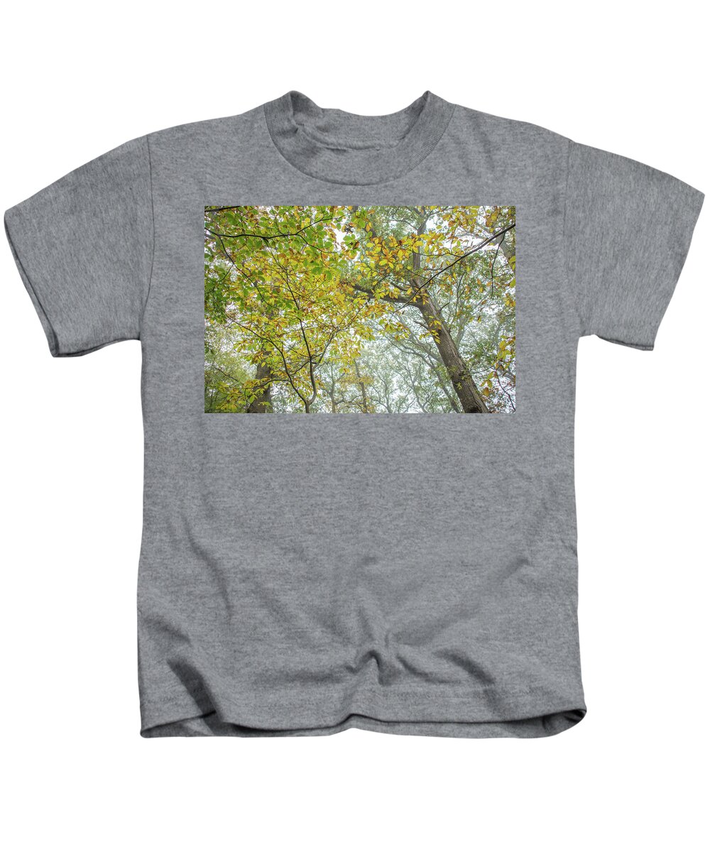 Trent Park Kids T-Shirt featuring the photograph Trent Park Trees Fall 9 by Edmund Peston