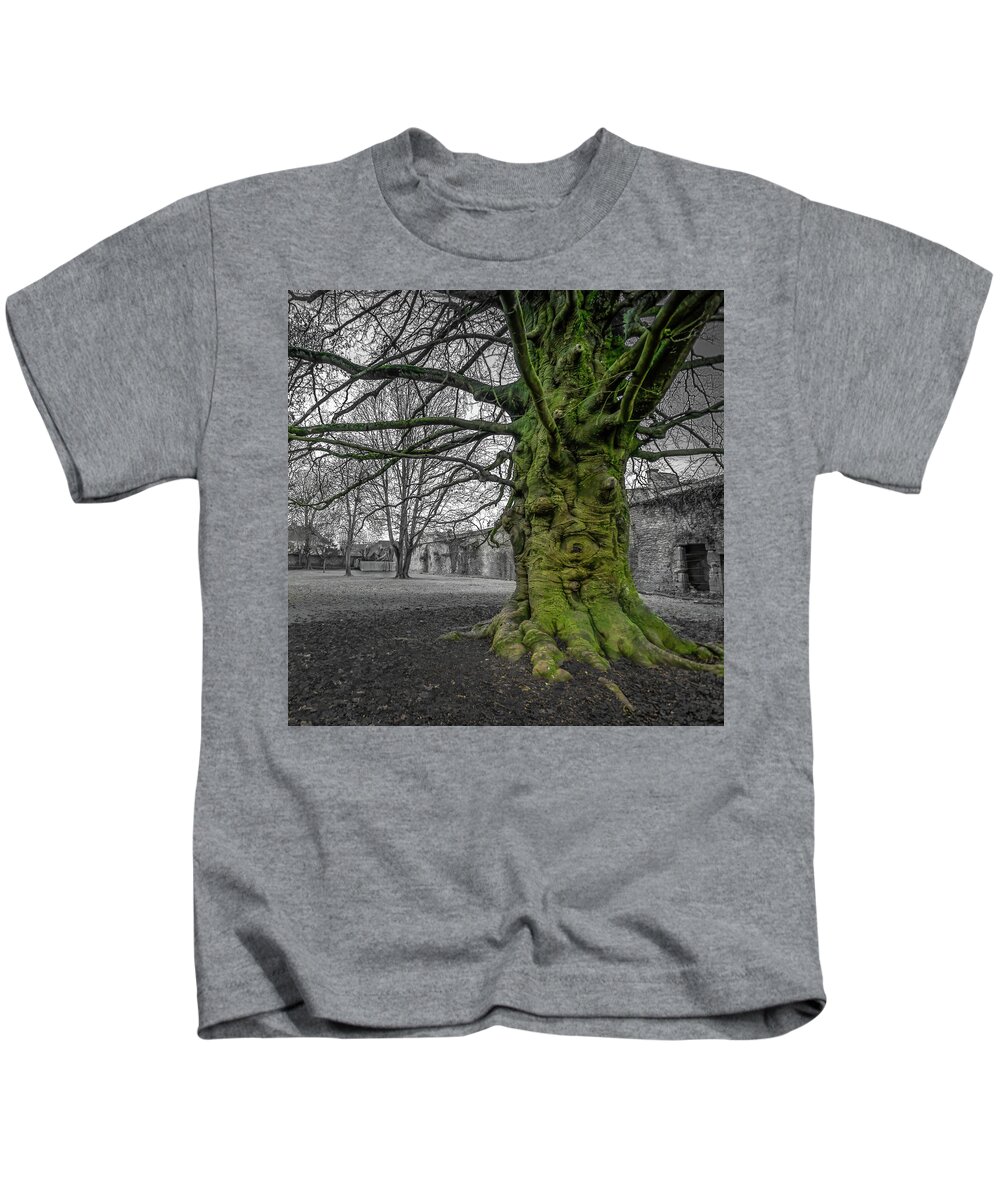 Abbey Kids T-Shirt featuring the photograph Twisted old beech trunk and green moss by Jean-Luc Farges