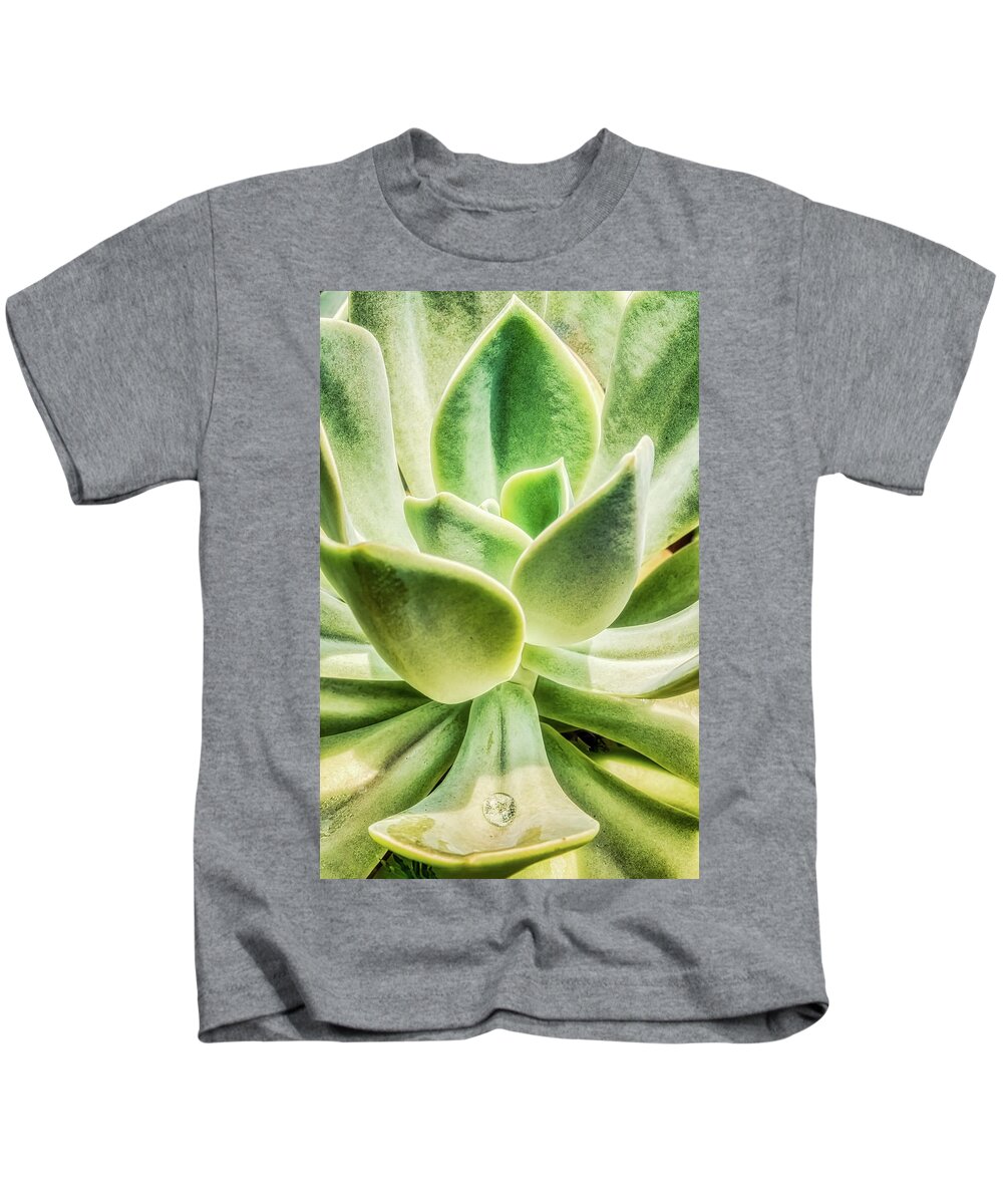 Plant Kids T-Shirt featuring the photograph Water Drop On Echeveria Plant by Gary Slawsky