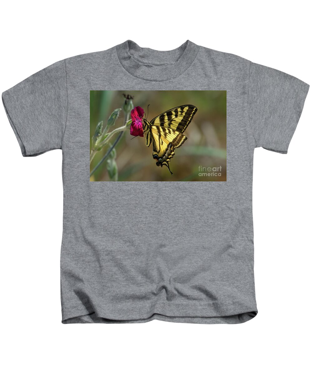 Western Tiger Swallowtail Kids T-Shirt featuring the photograph Western Tiger Swallowtail on Rose Campion Flower #3 by Nancy Gleason