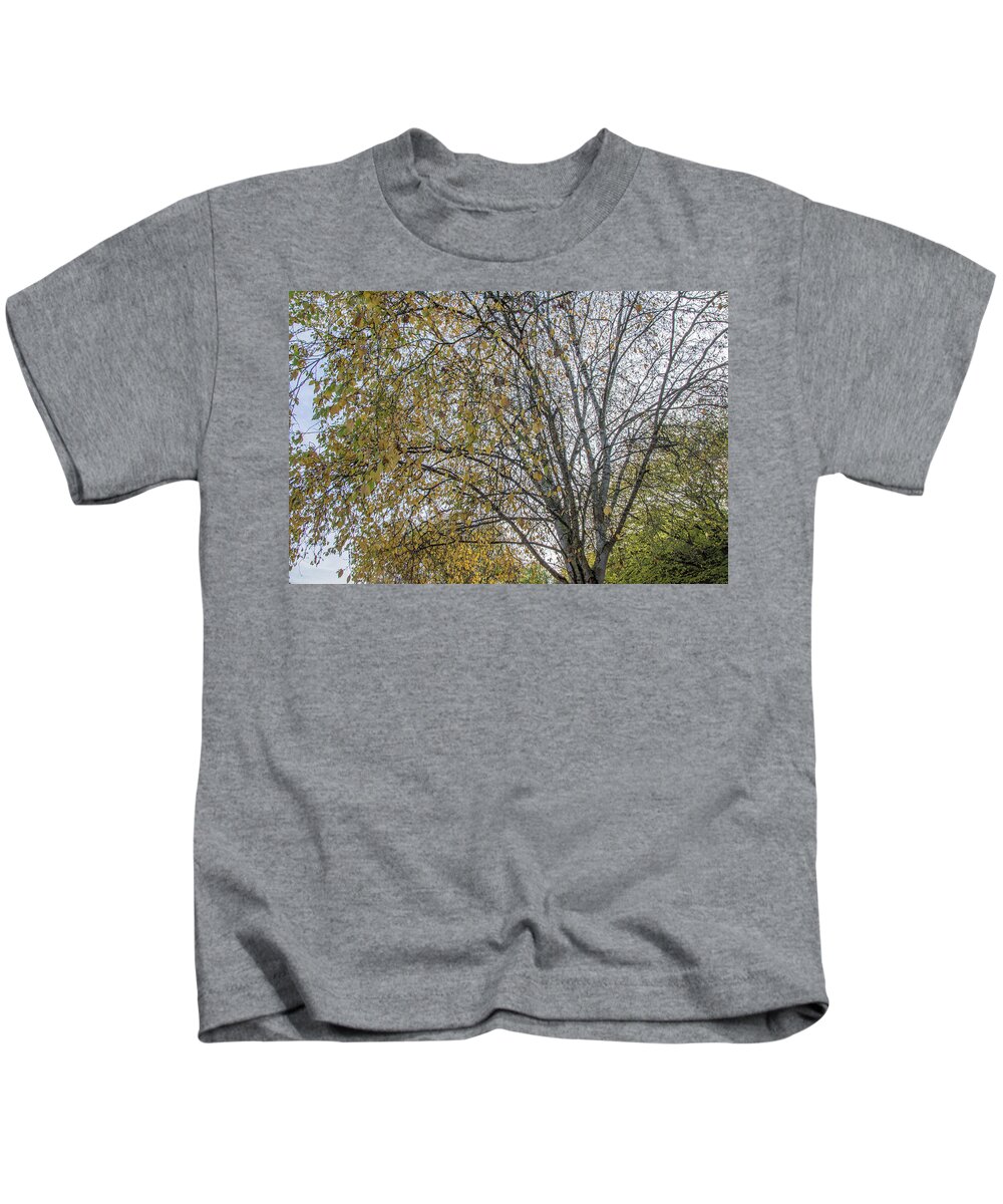 Whetstone Stray Kids T-Shirt featuring the photograph Whetstone Stray Trees Fall 6 by Edmund Peston