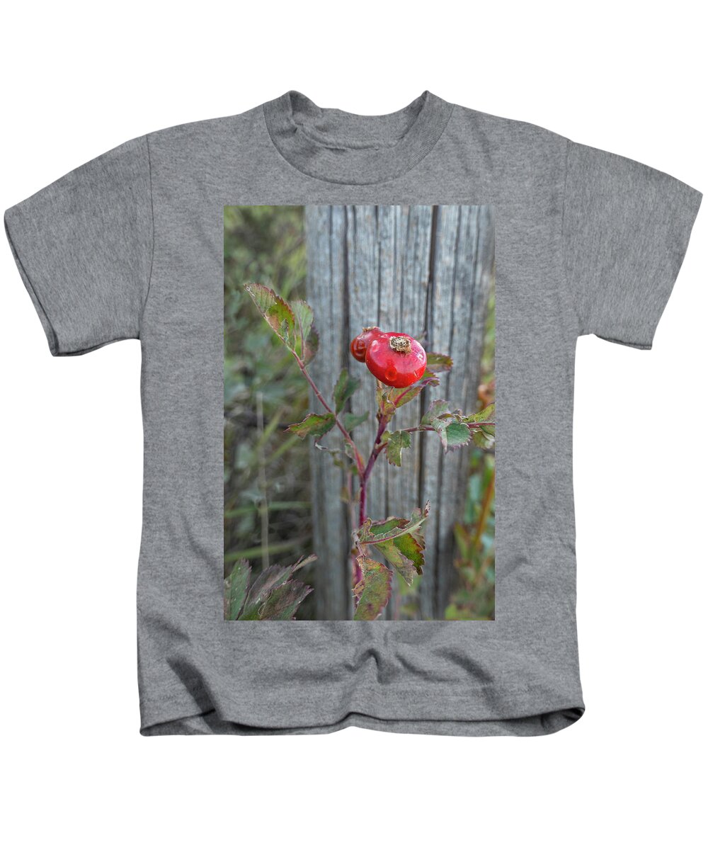 Rose Kids T-Shirt featuring the photograph Wild Rose Hips And Fence Post by Karen Rispin