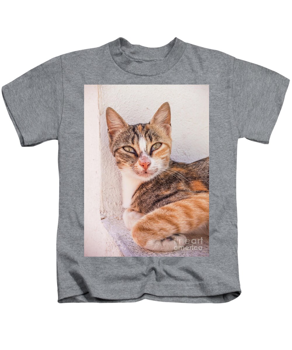Tabby Kids T-Shirt featuring the photograph Wild Tabby Cat, Fira, Santorini, Greece by Neale And Judith Clark