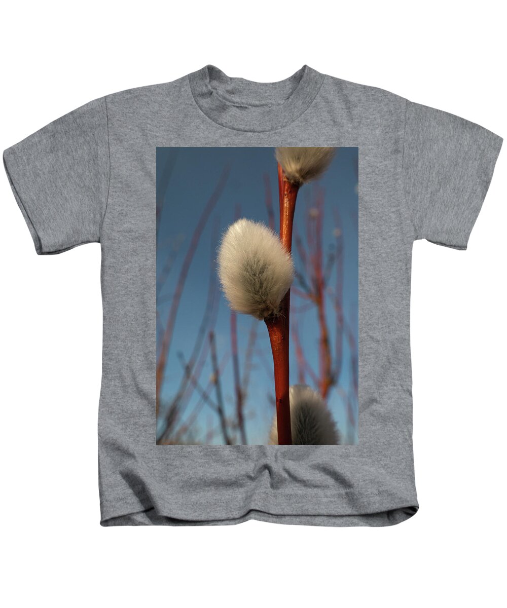Spring Kids T-Shirt featuring the photograph Willow Catkin by Karen Rispin
