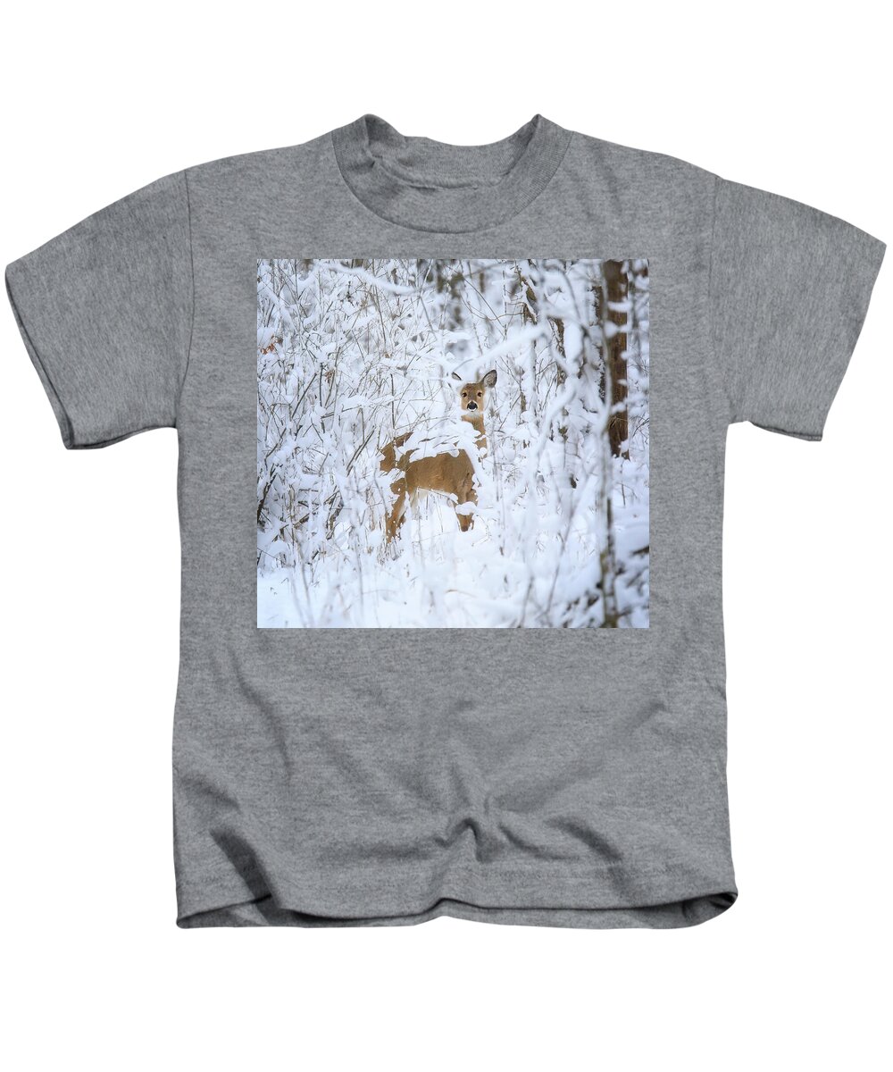 Winter Deer Kids T-Shirt featuring the photograph Winter Deer by Dan Sproul