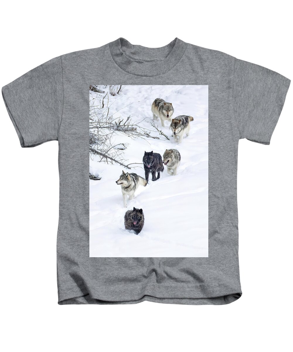 Gray Wolf Kids T-Shirt featuring the photograph Wolf Line by Max Waugh