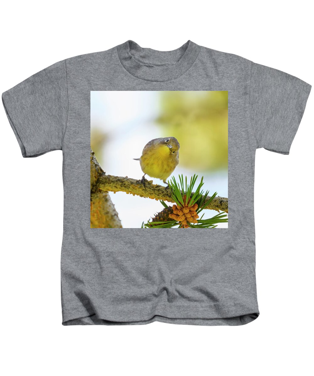 Enhanced Kids T-Shirt featuring the photograph You Looking at me Too? by Mike Gifford