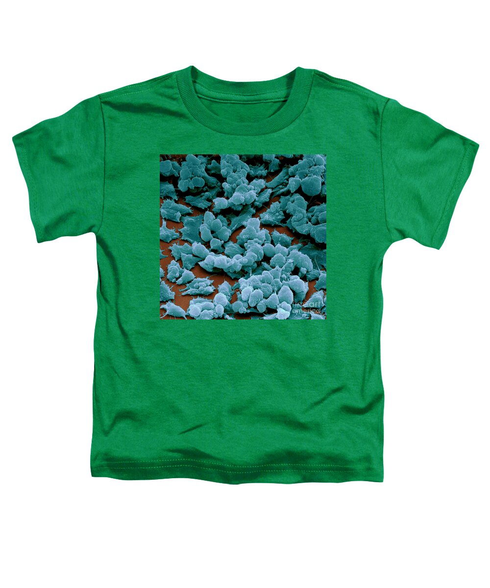 Egg Toddler T-Shirt featuring the photograph Eggs Surrounded By Cumulus Cells #2 by David M. Phillips