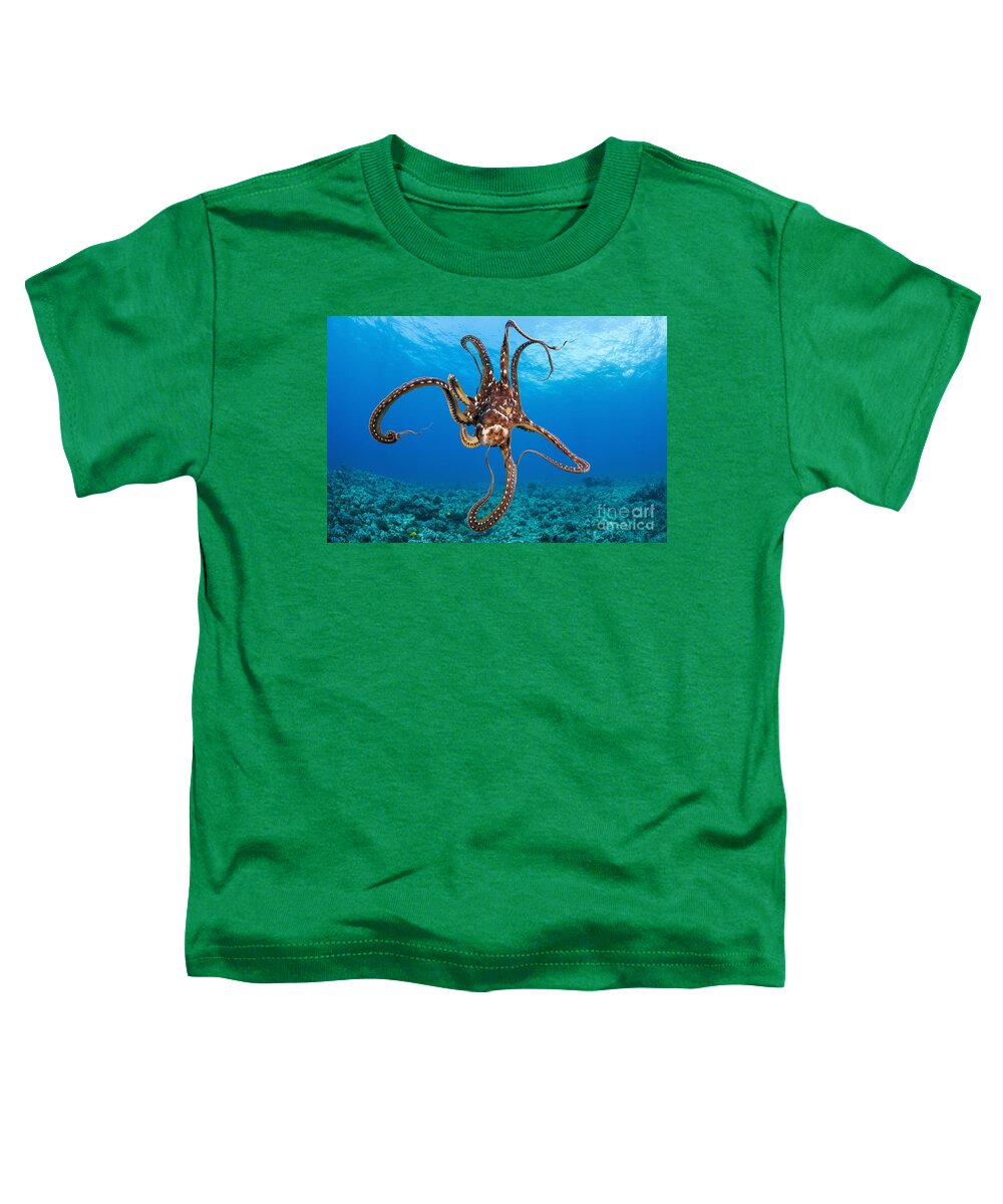 Blue Toddler T-Shirt featuring the photograph Hawaii, Day Octopus _Octopus Cyanea_. by Dave Fleetham