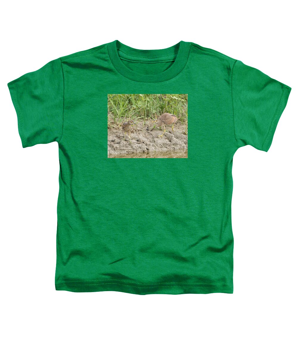 Bird Toddler T-Shirt featuring the photograph Black Crowned Night Heron #15 by Dennis Hammer