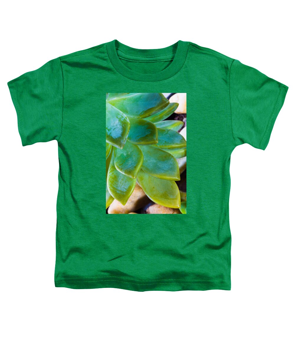 Beautiful Toddler T-Shirt featuring the photograph Blue Pearl Plant by Raul Rodriguez