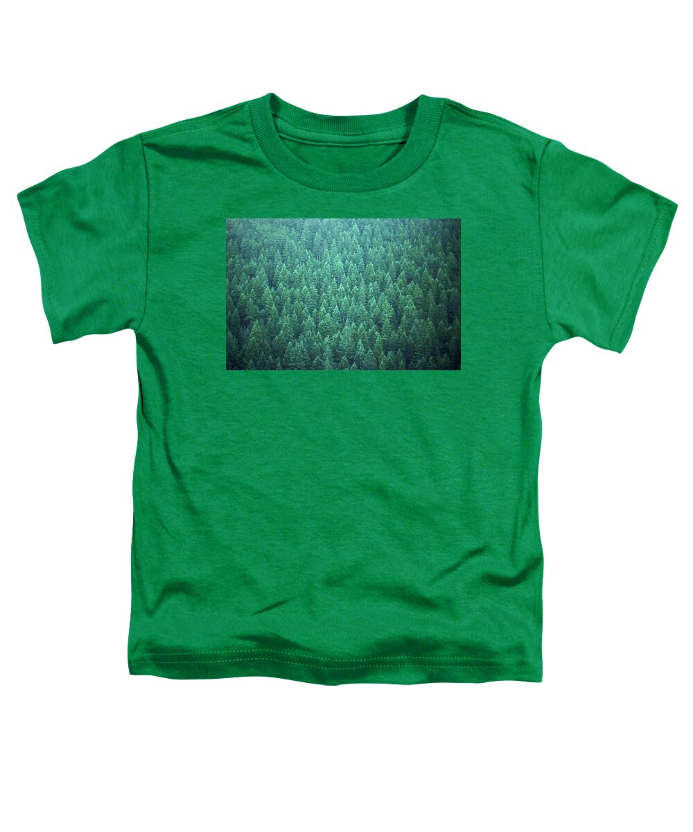 Trees Forest Evergreen State Washington Toddler T-Shirt featuring the photograph Evergreen by Laurie Stewart