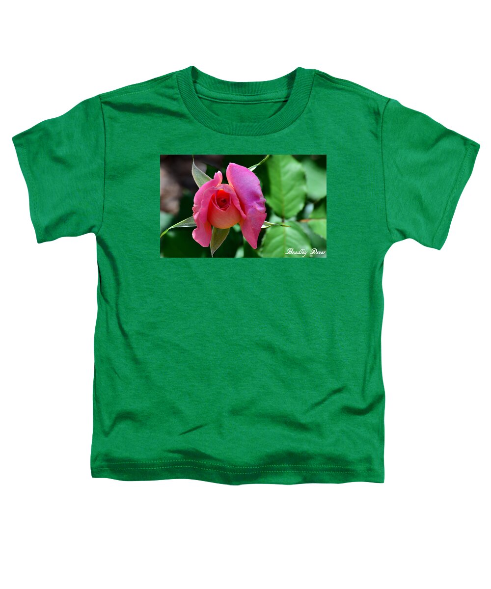 Pink Rose Toddler T-Shirt featuring the photograph Graceful Tie by Bradley Dever