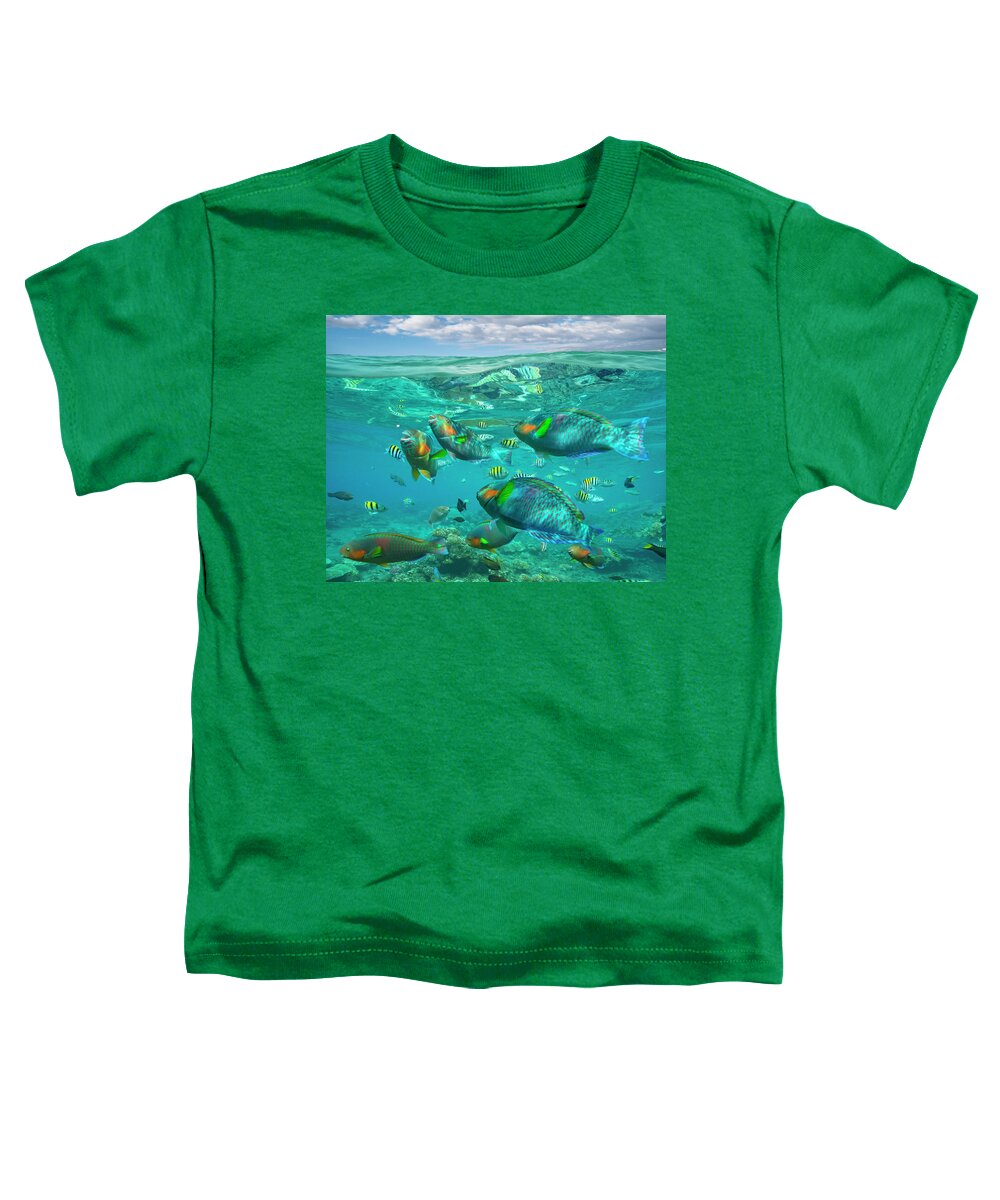 00586440 Toddler T-Shirt featuring the photograph Parrotfish, Damselfish, Sergeant Major Damselfish And Basslets, Negros Oriental, Philippines by Tim Fitzharris