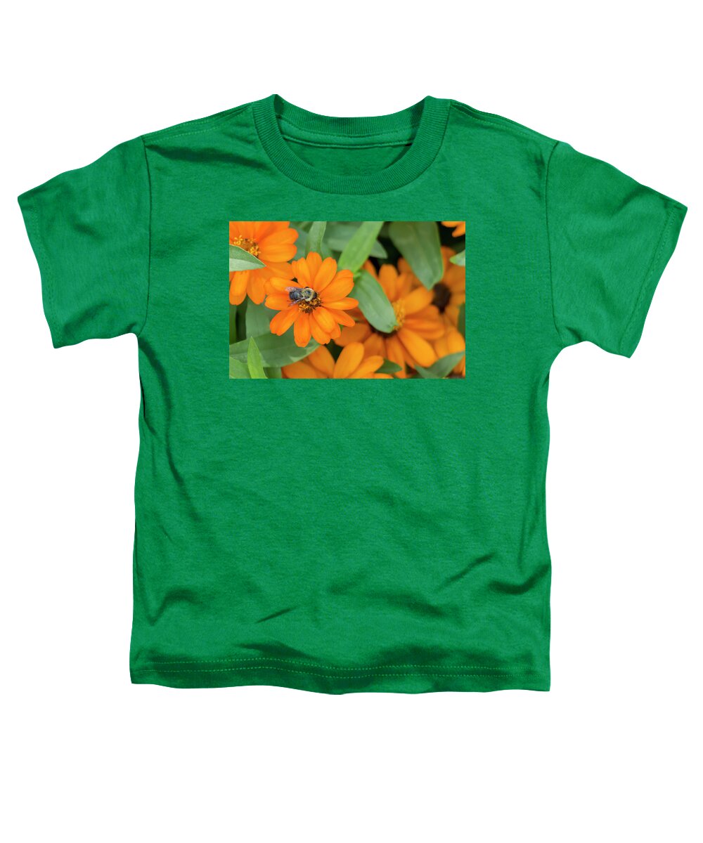 Flower Toddler T-Shirt featuring the photograph Bumblebee on Zinnia by Dawn Cavalieri