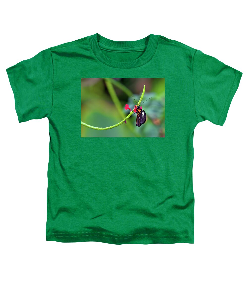 Butterfly Toddler T-Shirt featuring the photograph Butterfly on a Stalk by Bob Falcone
