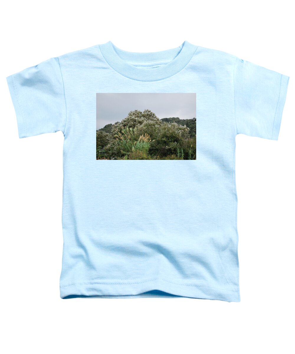 Cool Breeze Toddler T-Shirt featuring the photograph Cool Breeze #1 by George Katechis