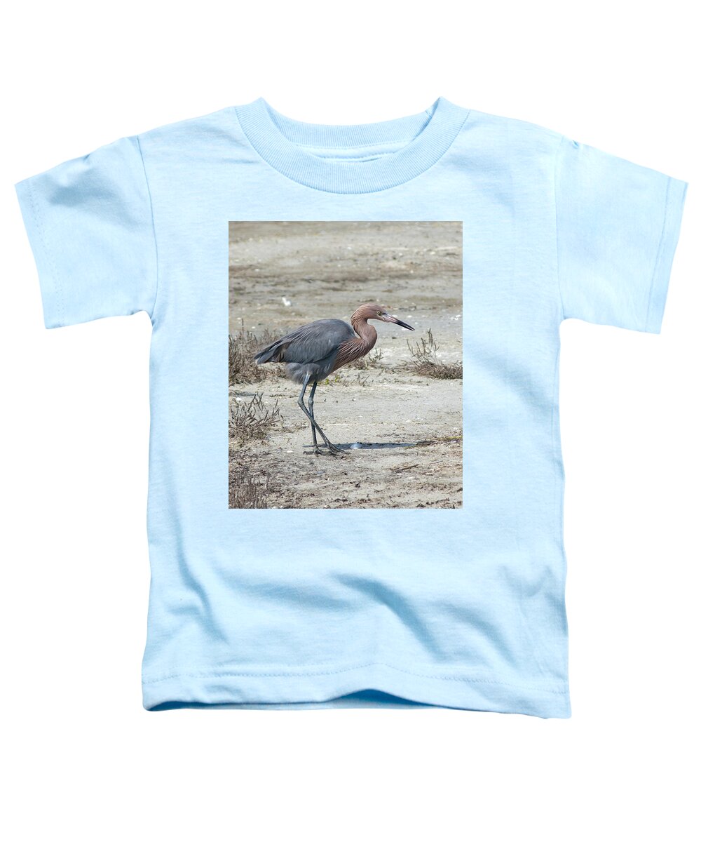 Egret Toddler T-Shirt featuring the photograph Egret #2 by Carol Erikson