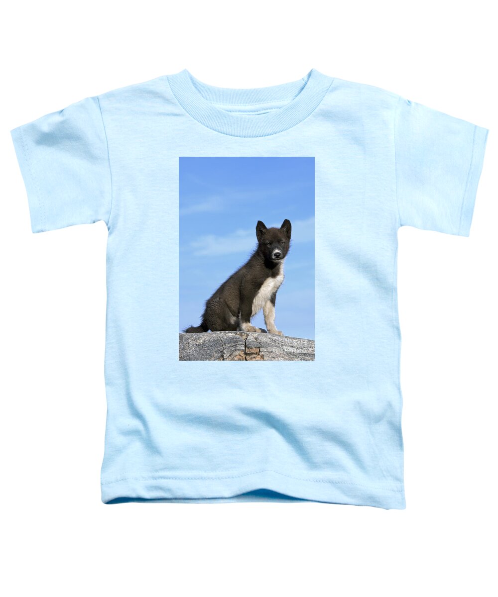 Greenland Toddler T-Shirt featuring the photograph 101130p250 by Arterra Picture Library