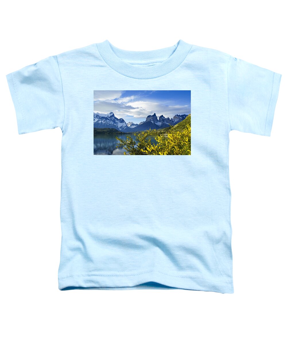 Patagonia Toddler T-Shirt featuring the photograph Springtime in Torres del Paine #11 by Michele Burgess