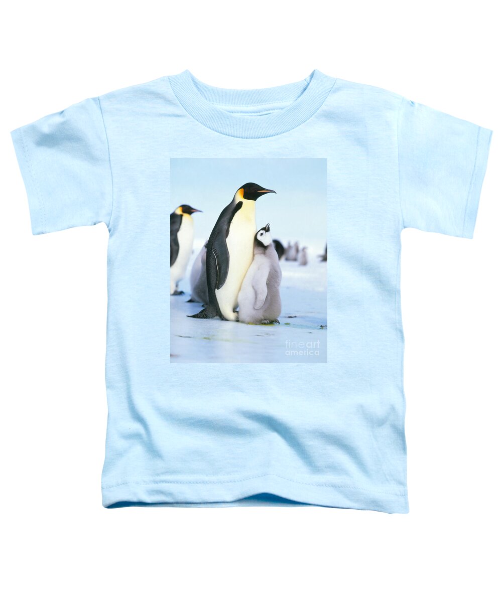 Penguin Toddler T-Shirt featuring the photograph Emperor Penguin Aptenodytes Forsteri #14 by Hans Reinhard