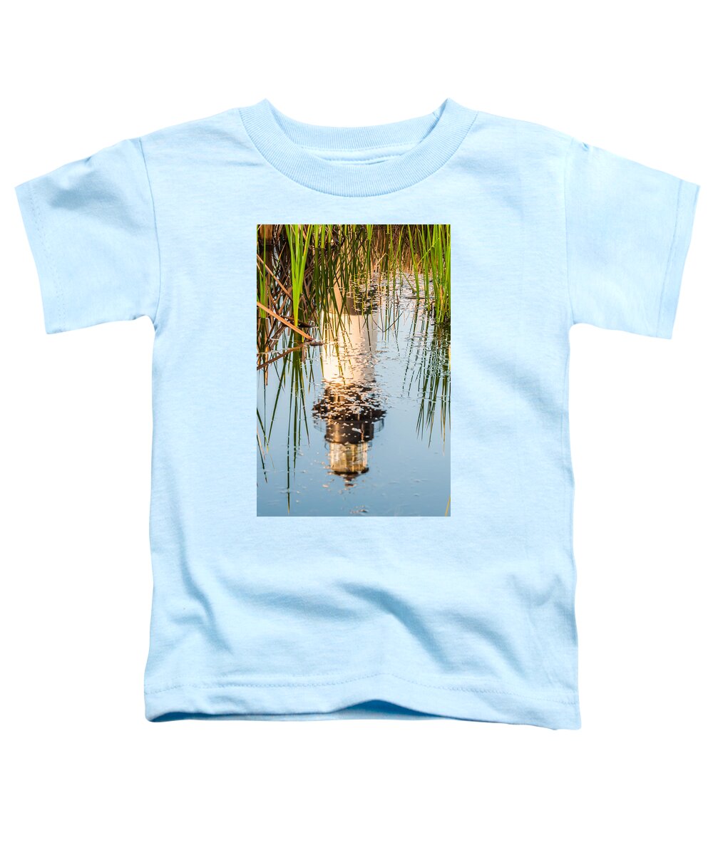 Banks Toddler T-Shirt featuring the photograph Bodie Island Lighthouse OBX Cape Hatteras North Carolina #3 by Alex Grichenko
