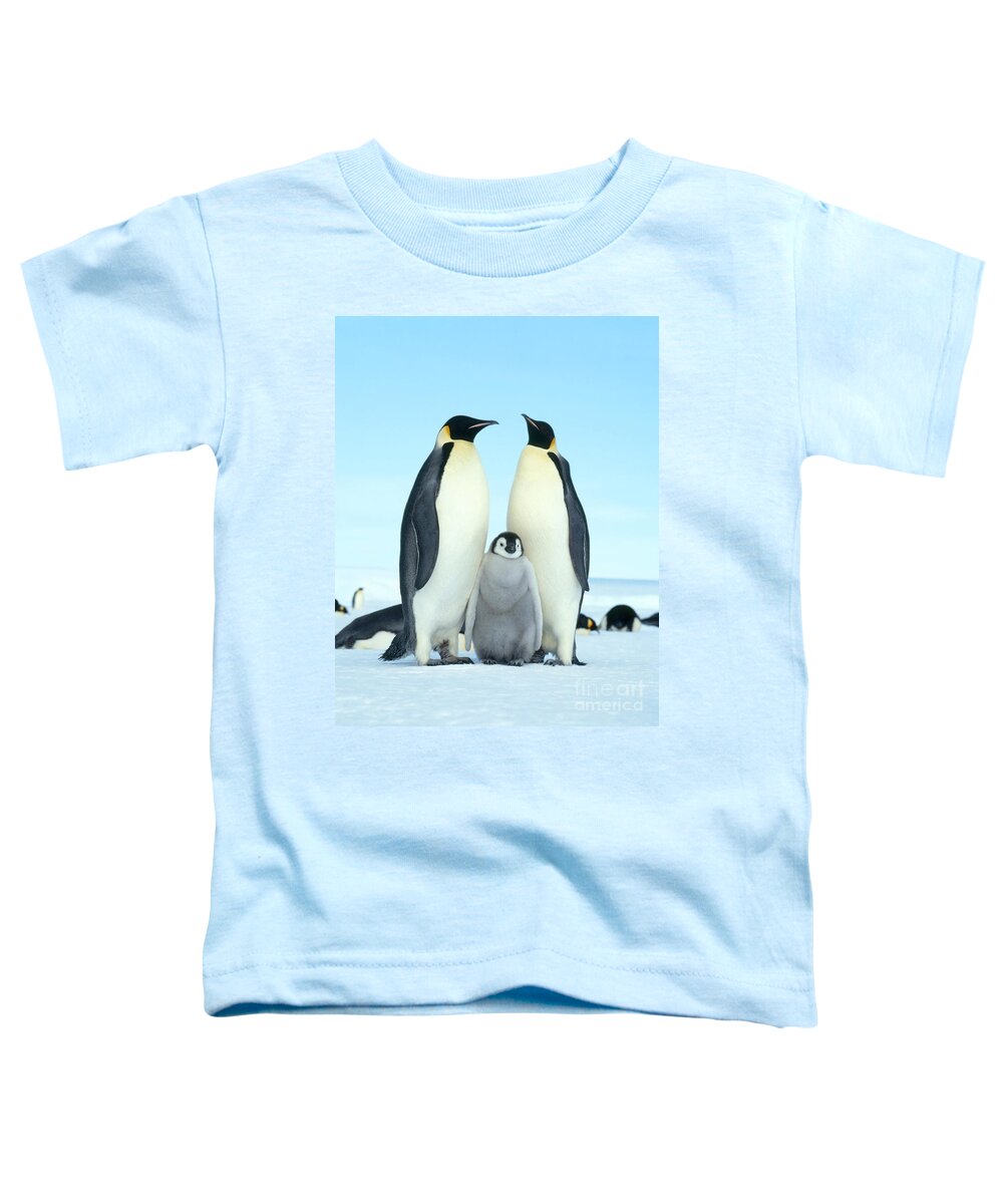 Penguin Toddler T-Shirt featuring the photograph Emperor Penguin Aptenodytes Forsteri #6 by Hans Reinhard