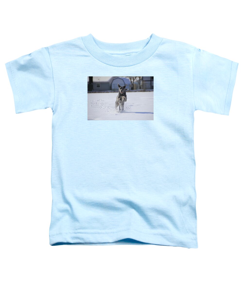 Louisiana Toddler T-Shirt featuring the photograph Catahoula Leopard Dog in Snow by Valerie Collins