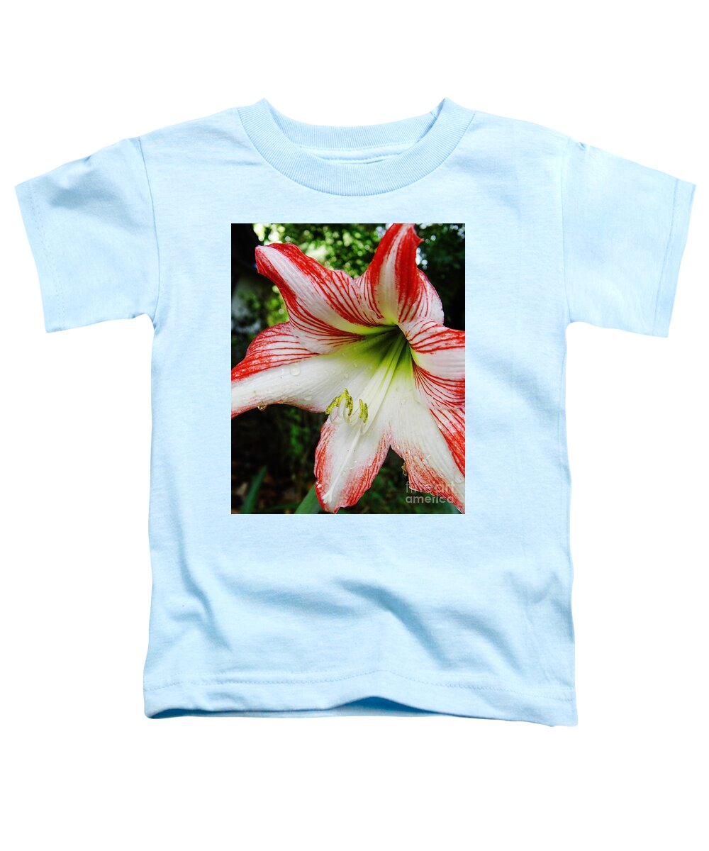 Amaryllis Toddler T-Shirt featuring the photograph After The Rain Lily by D Hackett