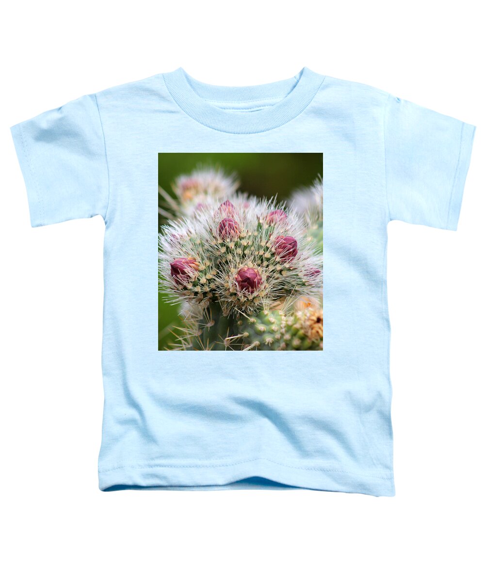 Cactus Toddler T-Shirt featuring the photograph Almost by Tammy Espino