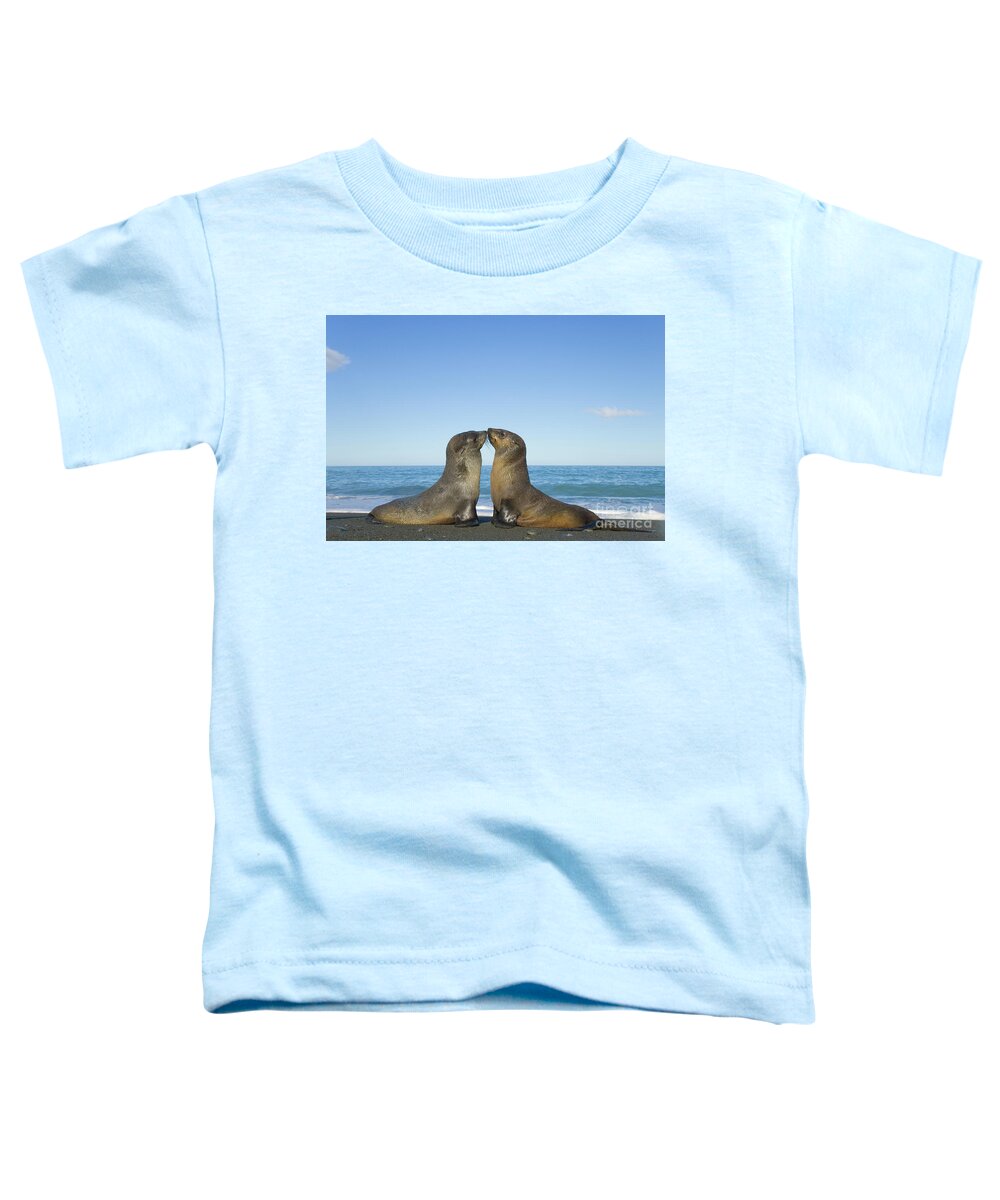 00345354 Toddler T-Shirt featuring the photograph Antarctic Fur Seal Pups Kissing by Yva Momatiuk John Eastcott