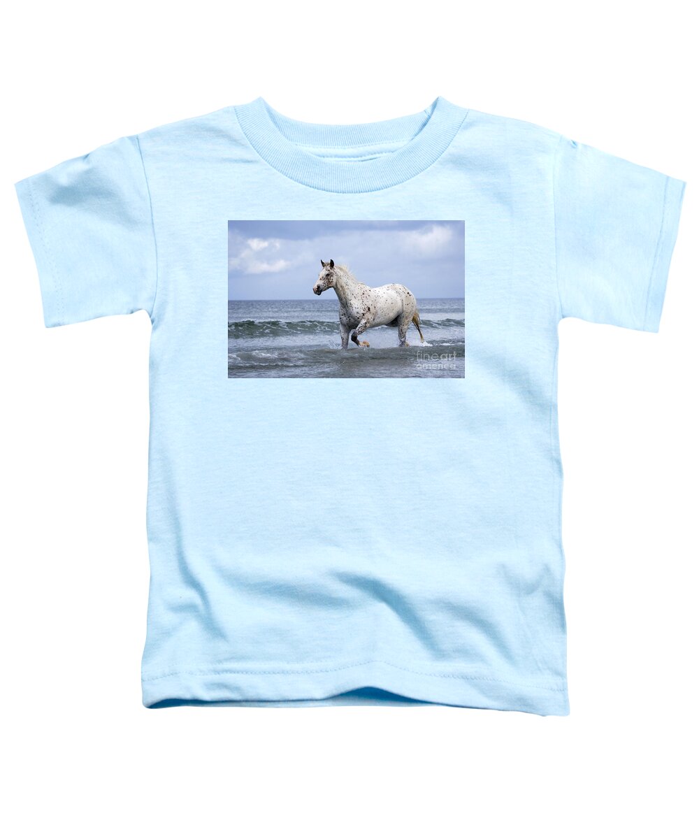 Horse Toddler T-Shirt featuring the photograph Appaloosa Horse Trotting In Ocean Surf by Rolf Kopfle