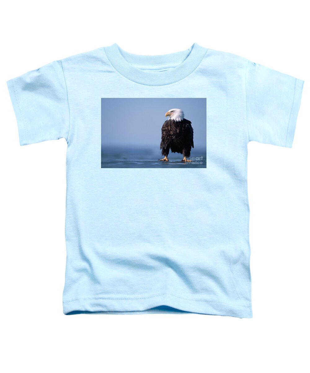 00343884 Toddler T-Shirt featuring the photograph Bald Eagle At Low Tide by Yva Momatiuk John Eastcott