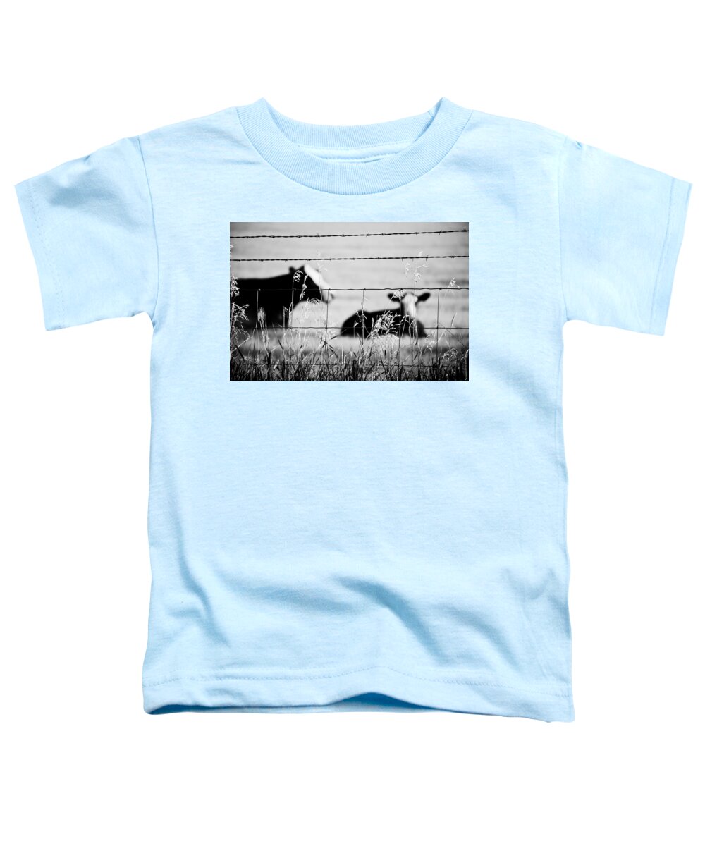 Blumwurks Toddler T-Shirt featuring the photograph Barriers by Matthew Blum