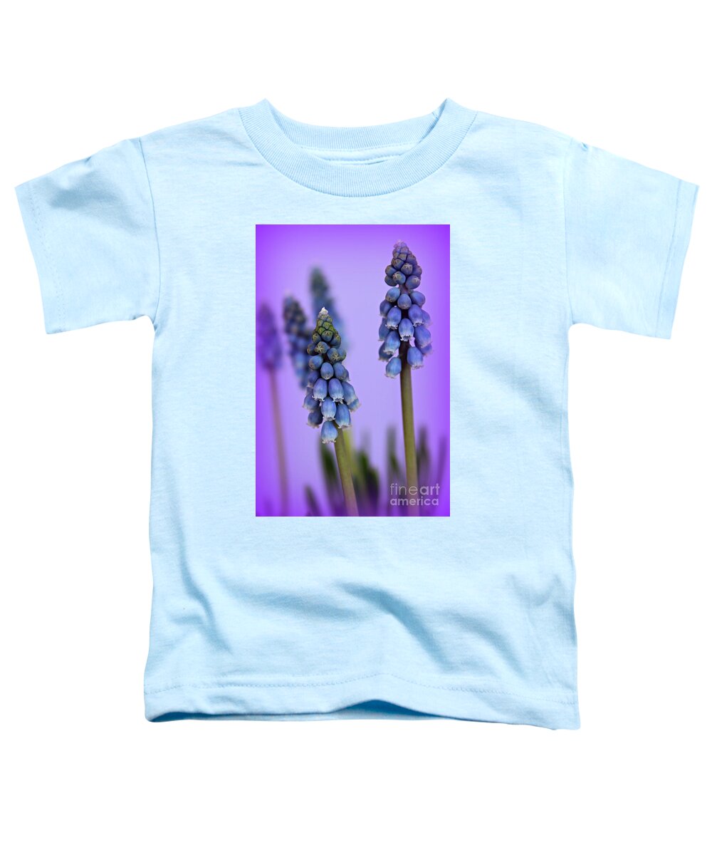 Grape Hyacinth Toddler T-Shirt featuring the photograph Beautiful Blue by Clare Bevan