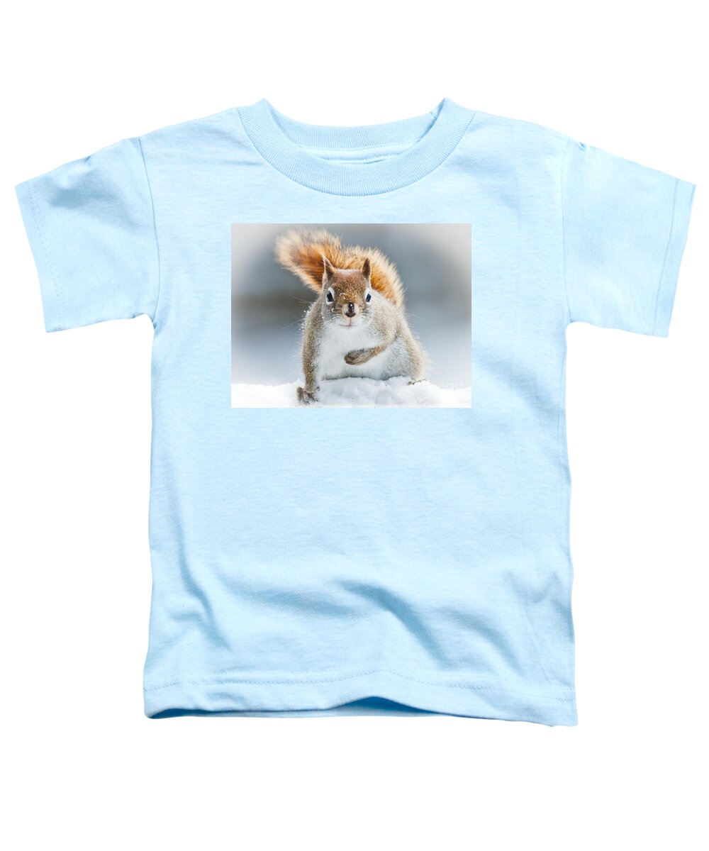 Squirrel Toddler T-Shirt featuring the photograph Can I have some more? by Cheryl Baxter