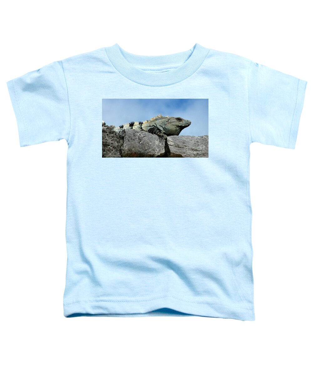 Iguana Toddler T-Shirt featuring the photograph Catching some Rays by Vivian Christopher