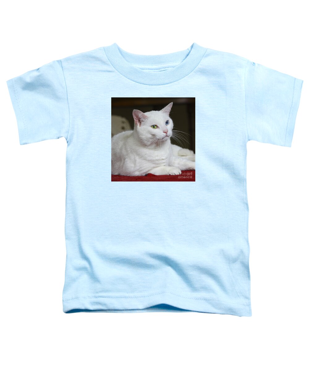 Fur Toddler T-Shirt featuring the photograph Charlie the White Cat by Terri Waters