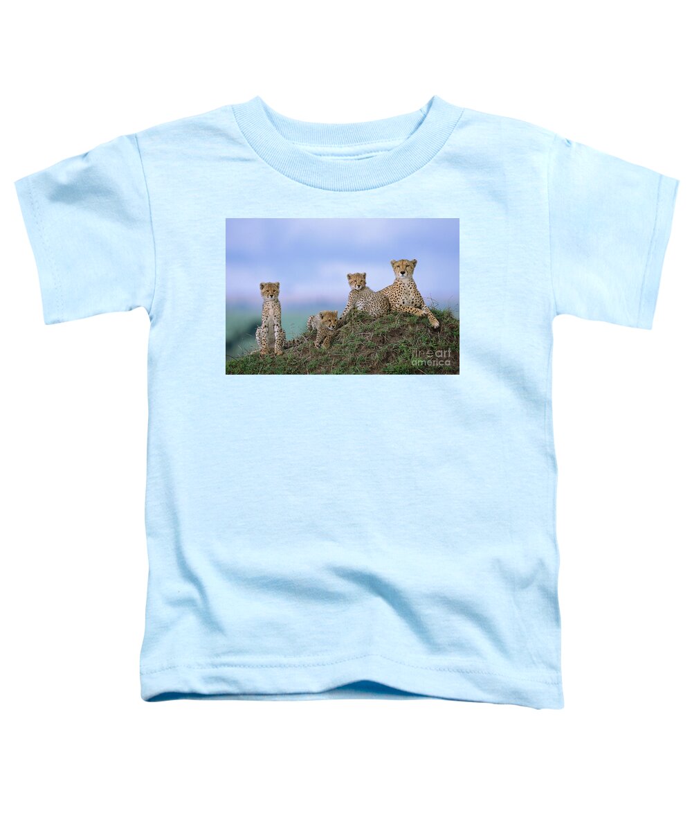 00345009 Toddler T-Shirt featuring the photograph Cheetah Mother And Cubs in Masai Mara by Yva Momatiuk John Eastcott