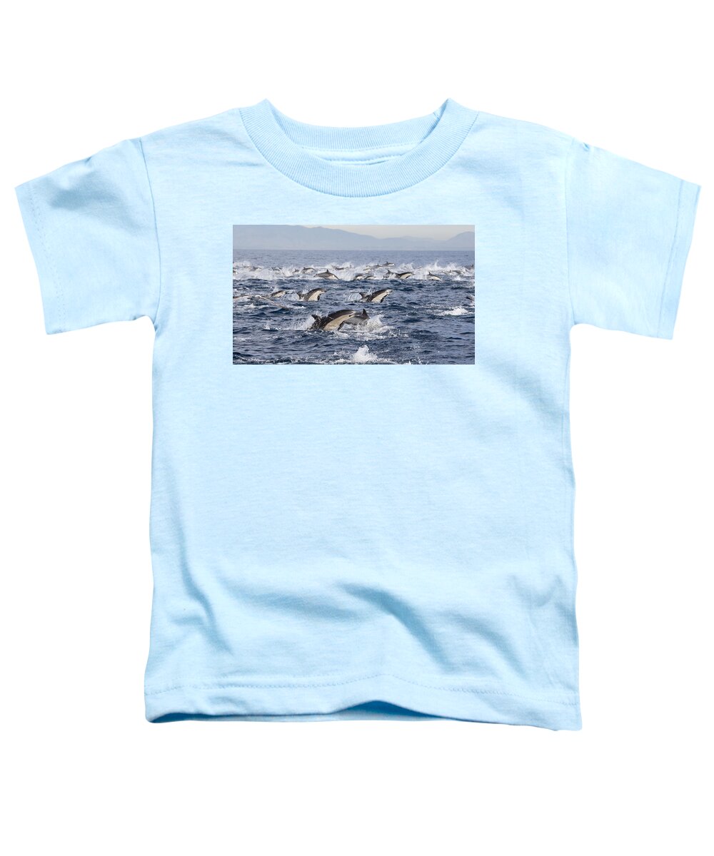 534185 Toddler T-Shirt featuring the photograph Common Dolphins Surfacing San Diego by Richard Herrmann