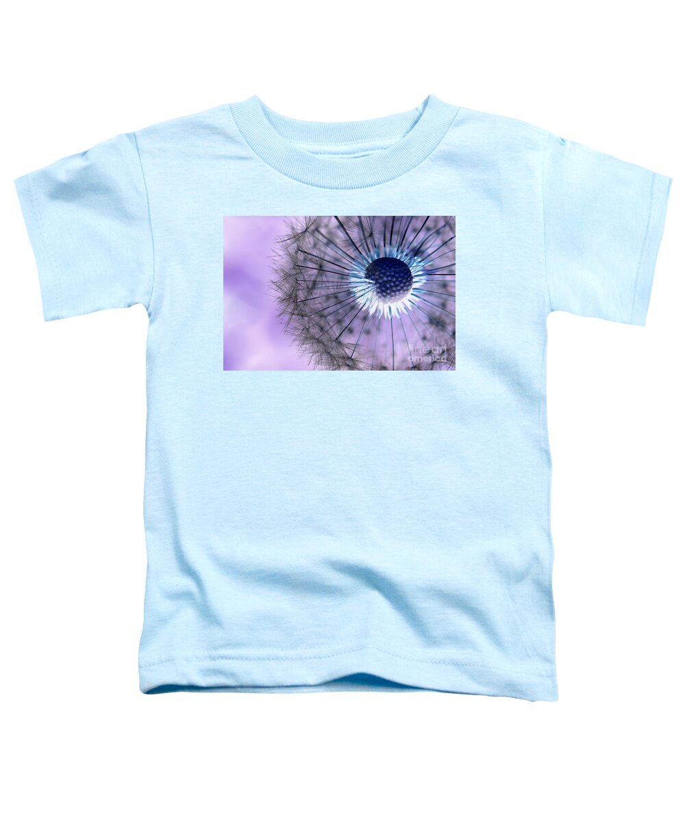 Dandelions Toddler T-Shirt featuring the photograph Dandelion 3 by Amanda Mohler