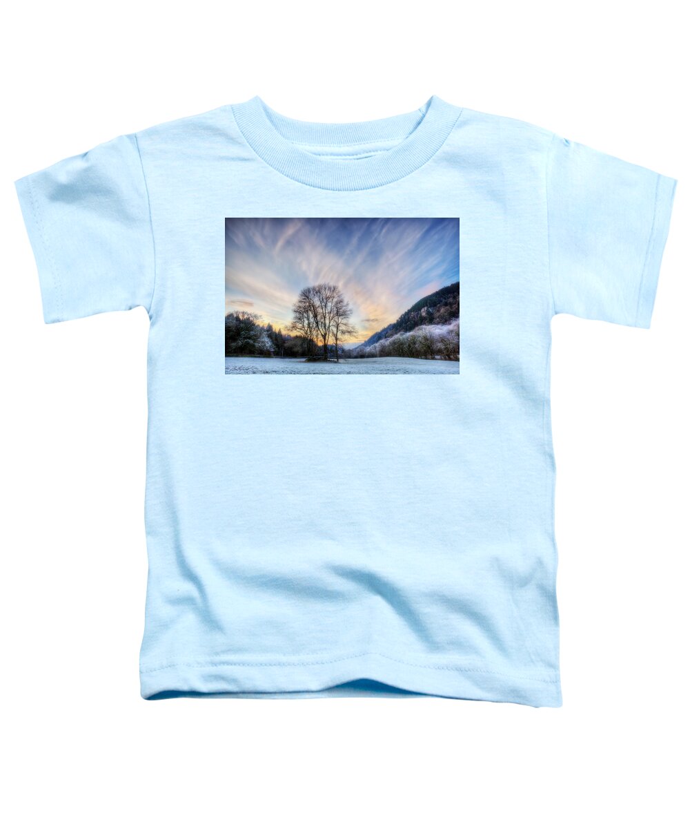 Winter Toddler T-Shirt featuring the photograph Deep frost by B Cash