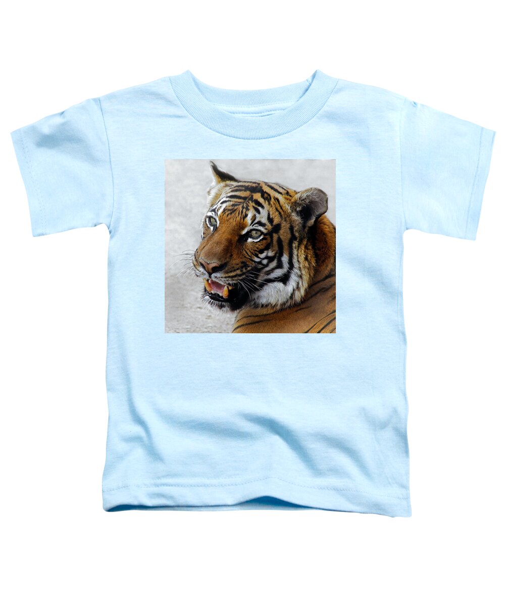 Malayan Tigers Toddler T-Shirt featuring the photograph Did Someone Mention Food by Elaine Malott